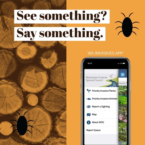 See something? Say something. Image of app on phone