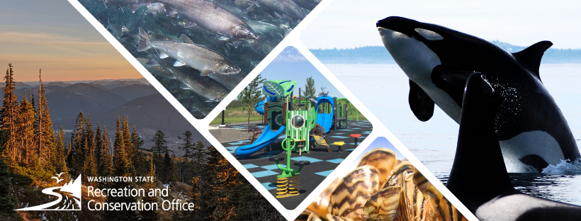 Images of salmon, a playground, an orca jumping from the water, zebra mussels, and a view of trees on a mountainside